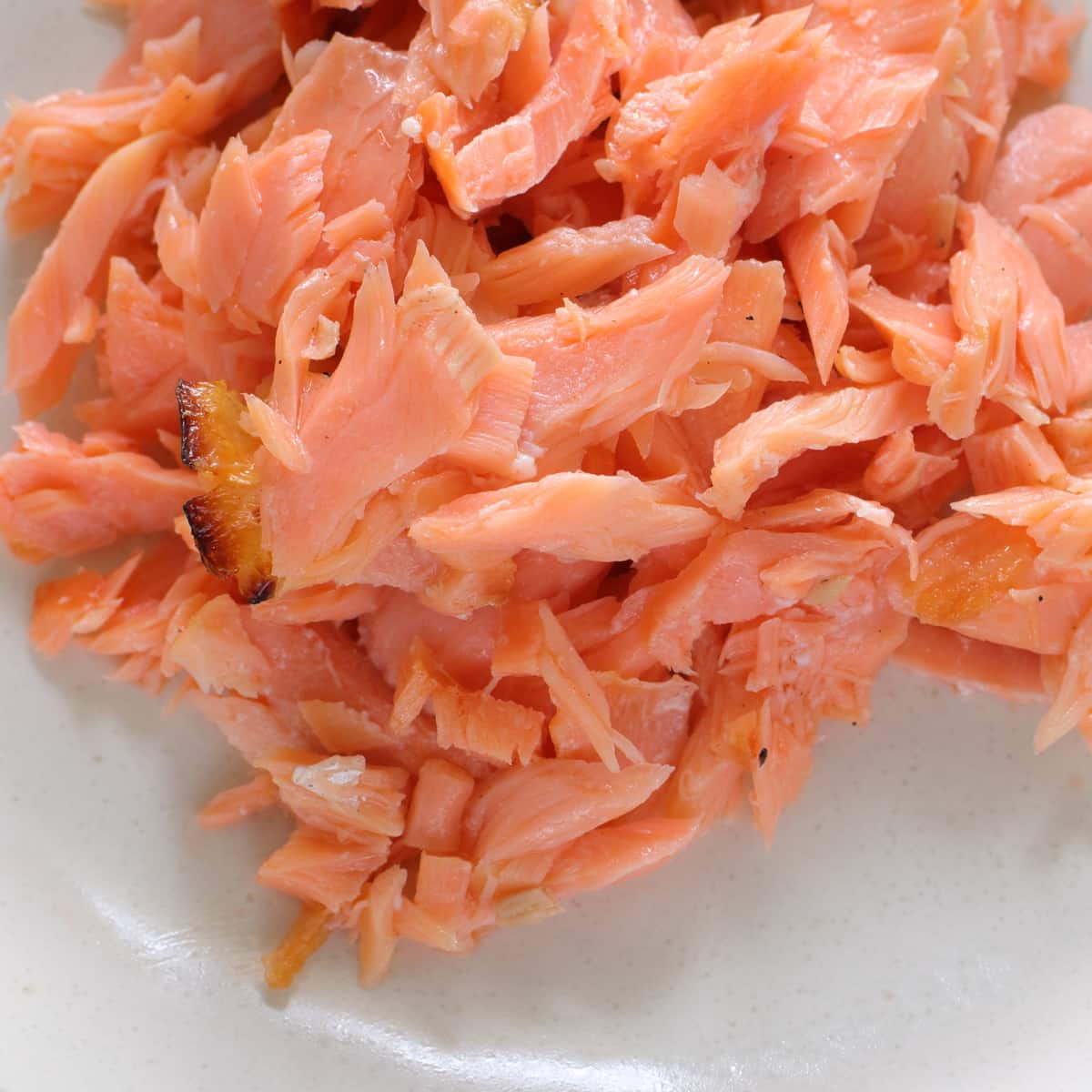 Flaked salmon sits on a white plate.