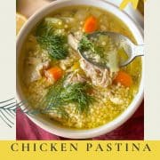 A bowl of chicken pastina soup is shown with the words Chicken Pastina Soup and the URL www.twocloveskitchen.com.