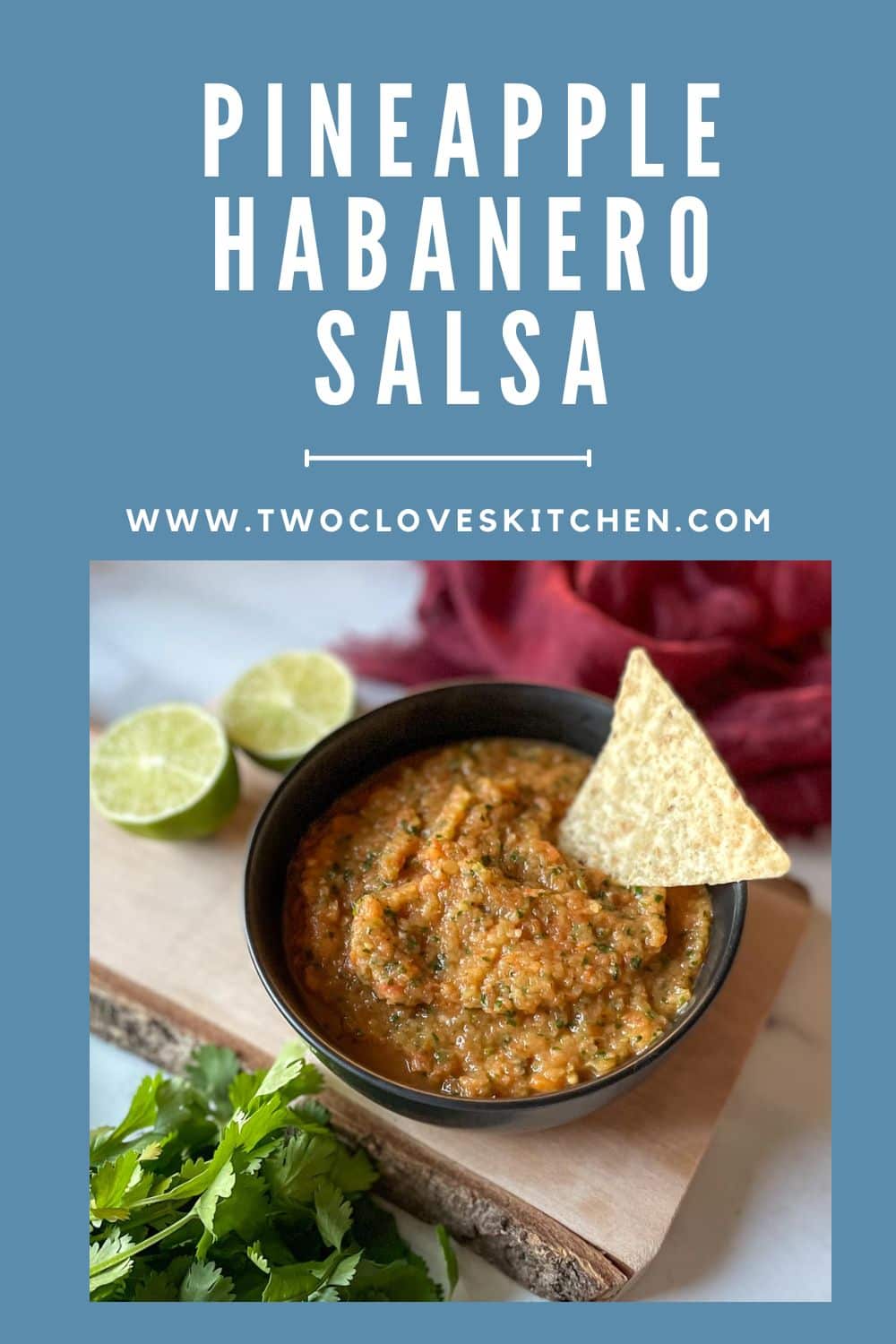 Pineapple Habanero Salsa Two Cloves Kitchen