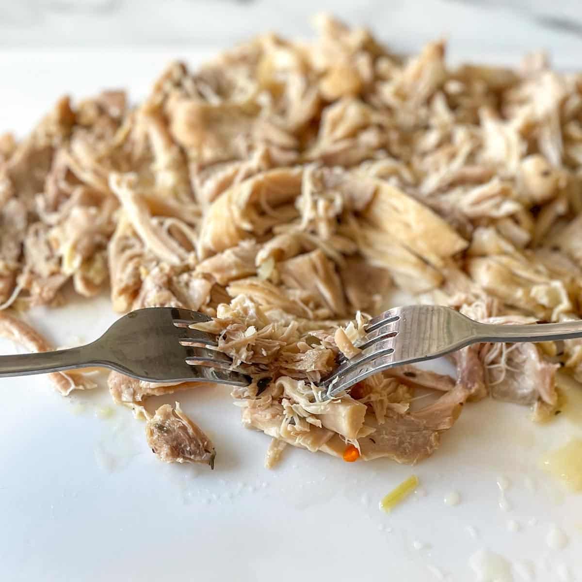 Chicken thighs are shredded with two forks.