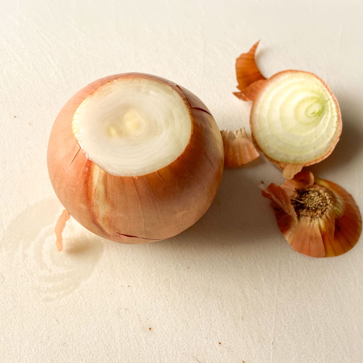 An onion is shown with the top and bottom portions cut off.