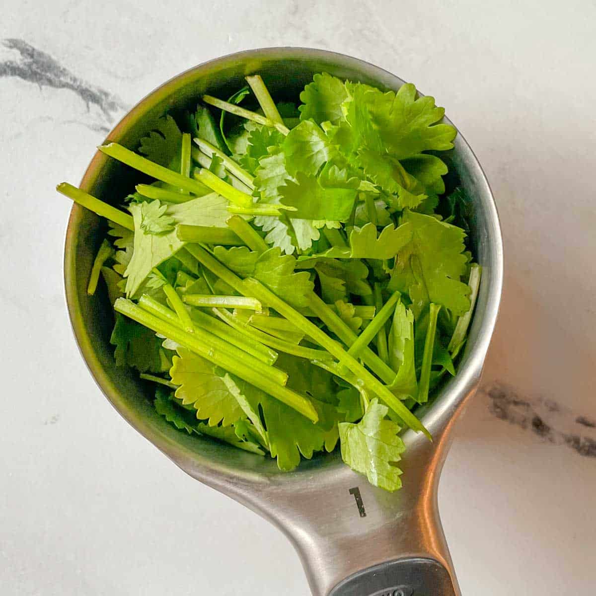 Chopped cilantro is shown in a measuring cup.