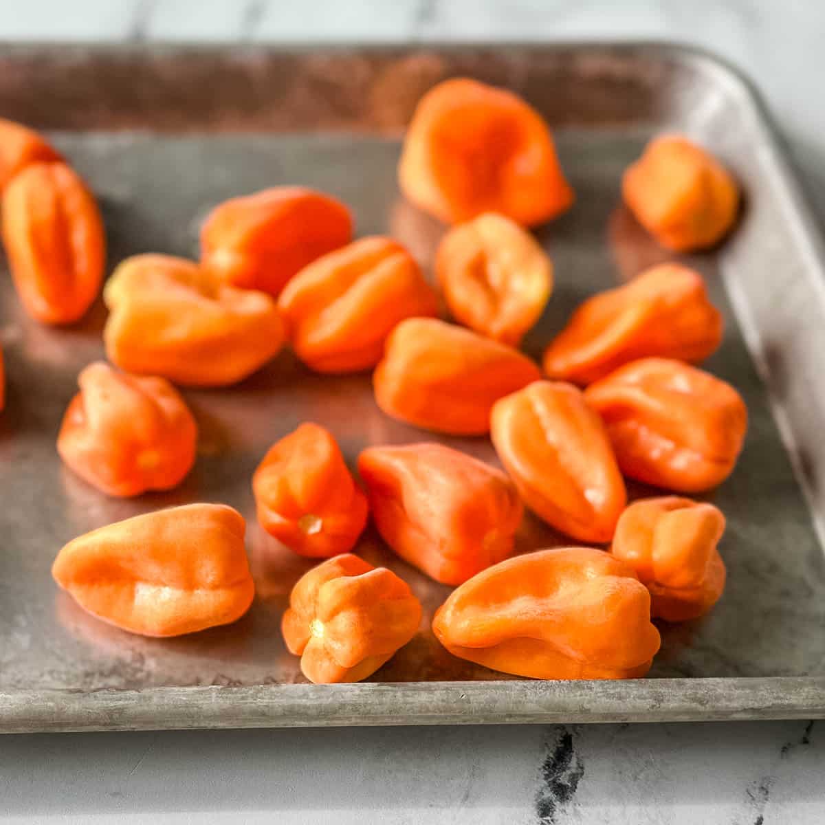 Frozen habaneros sit on a gray sheet tray on a white marble counter.