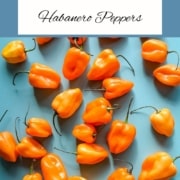 Habaneros are shown on a light blue background with the words How to Freeze Habanero Peppers and the URL www.twocloveskitchen.com.