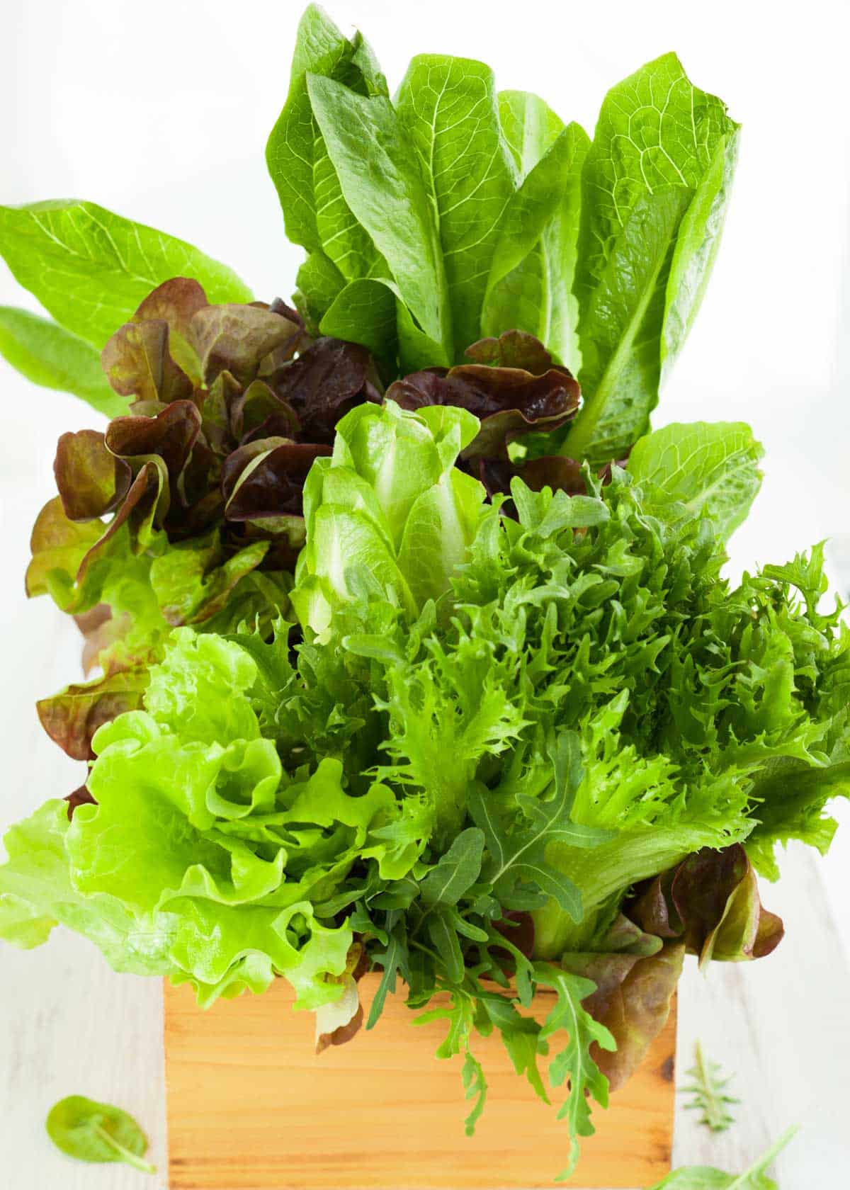 Mixed lettuces are shown in a wood planter on a white background.