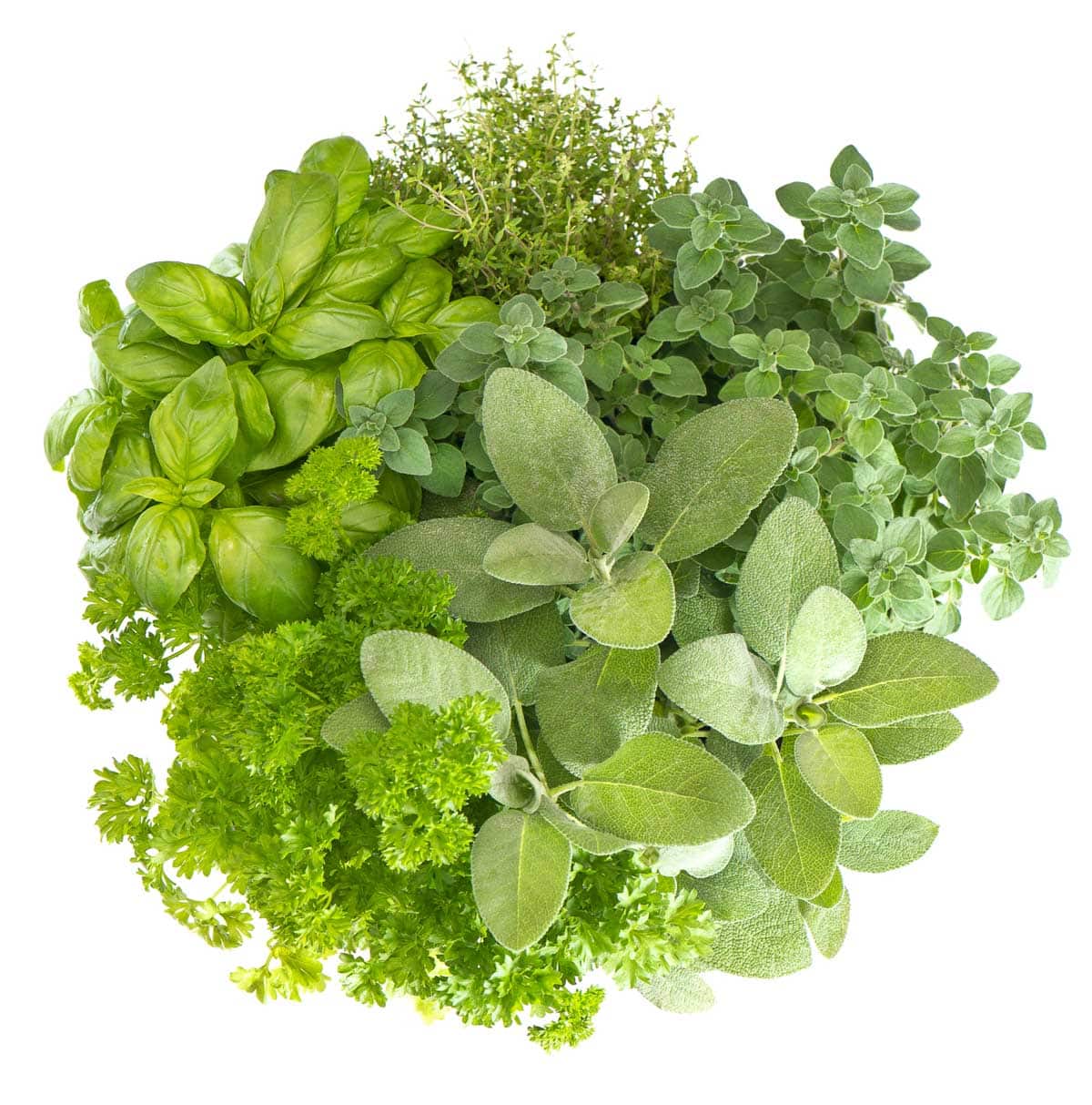 Mixed herbs are shown an on isolated white background.