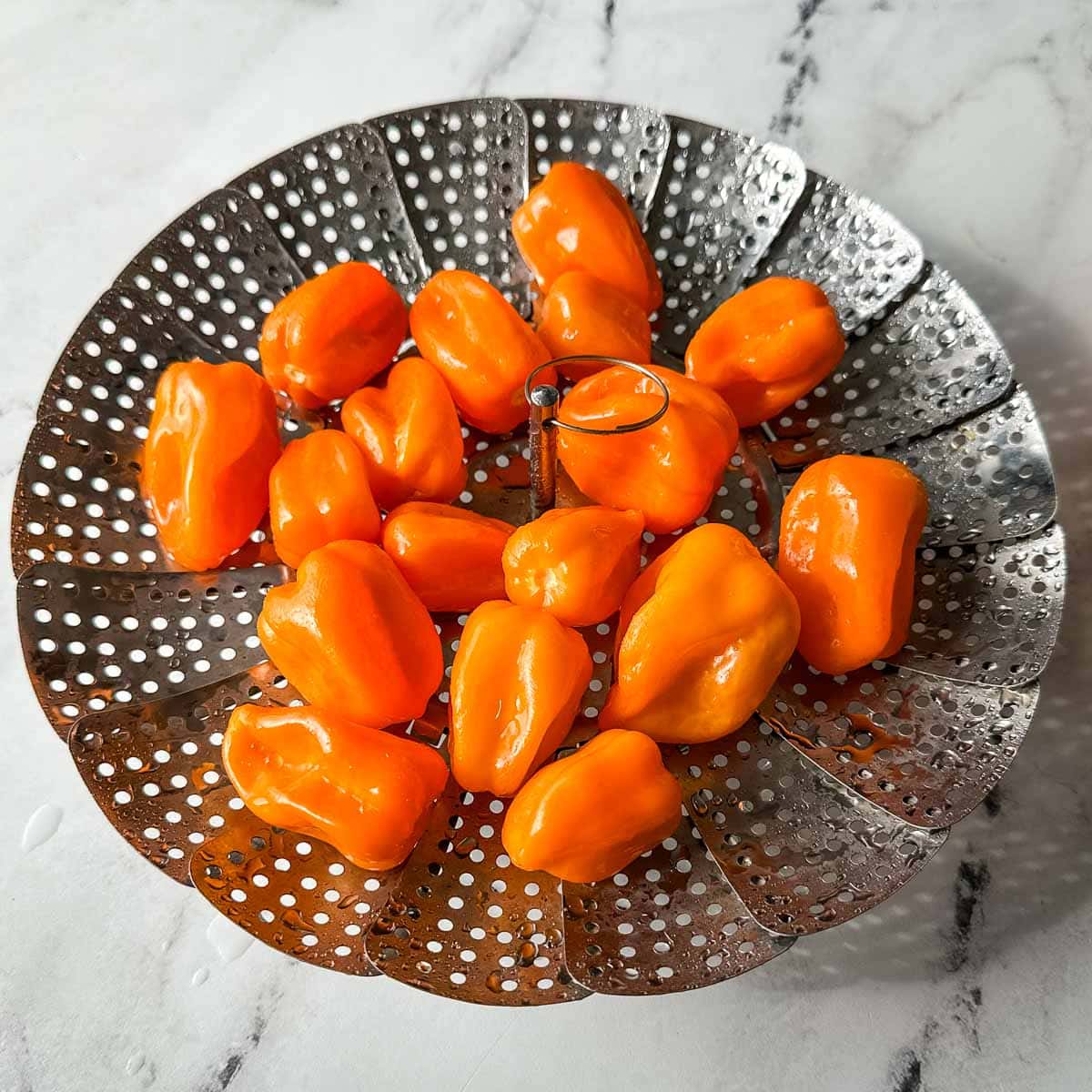 Washed habanero peppers sit in a silver strainer on a white marble counter.