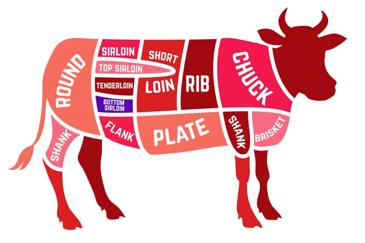 A diagram of a cow is shown with the bottom sirloin highlighted in purple.