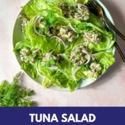 This Pinterest pin shows tuna salad on a bed of iceberg lettuce with the words Tuna Salad without mayo and the URL www.twocloveskitchen.com.