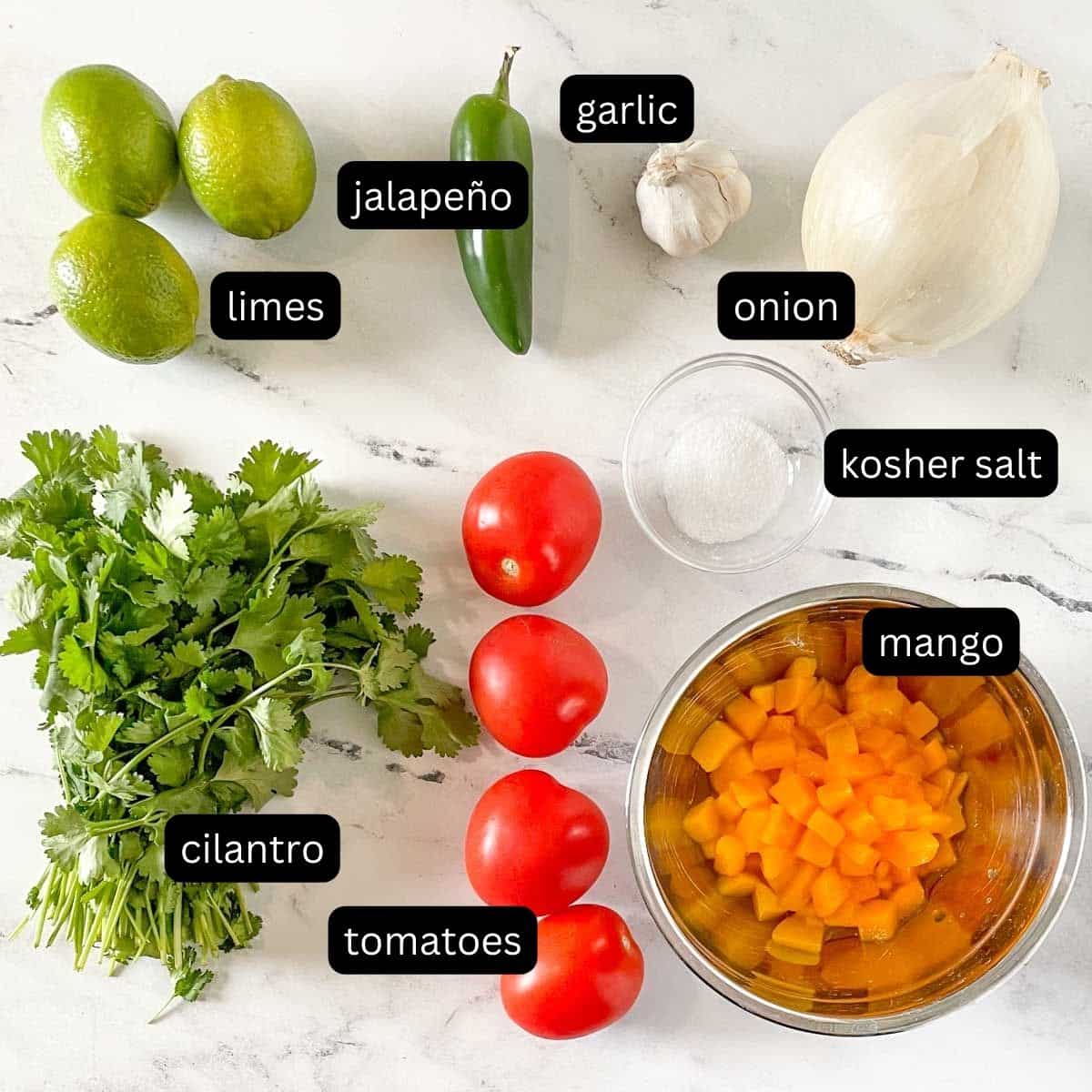 The labeled ingredients for mango pico de gallo sit on a white marble counter.