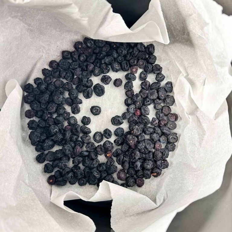 Air Fryer Dehydrated Blueberries Two Cloves Kitchen