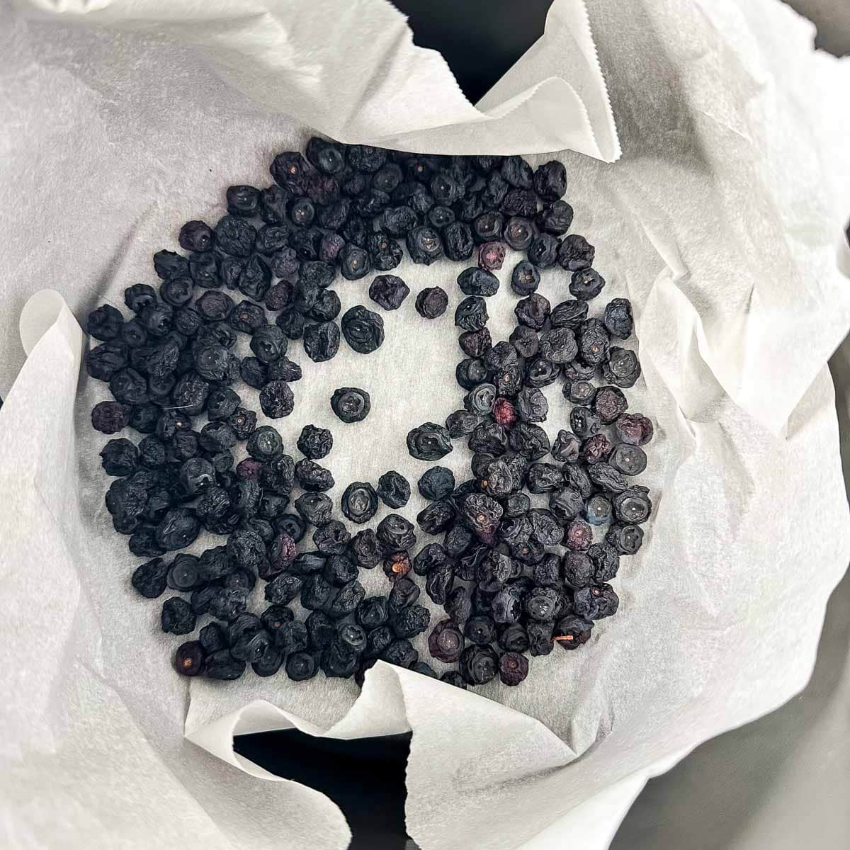 Deydrated blueberries on parchment paper in the basket of an air fryer.
