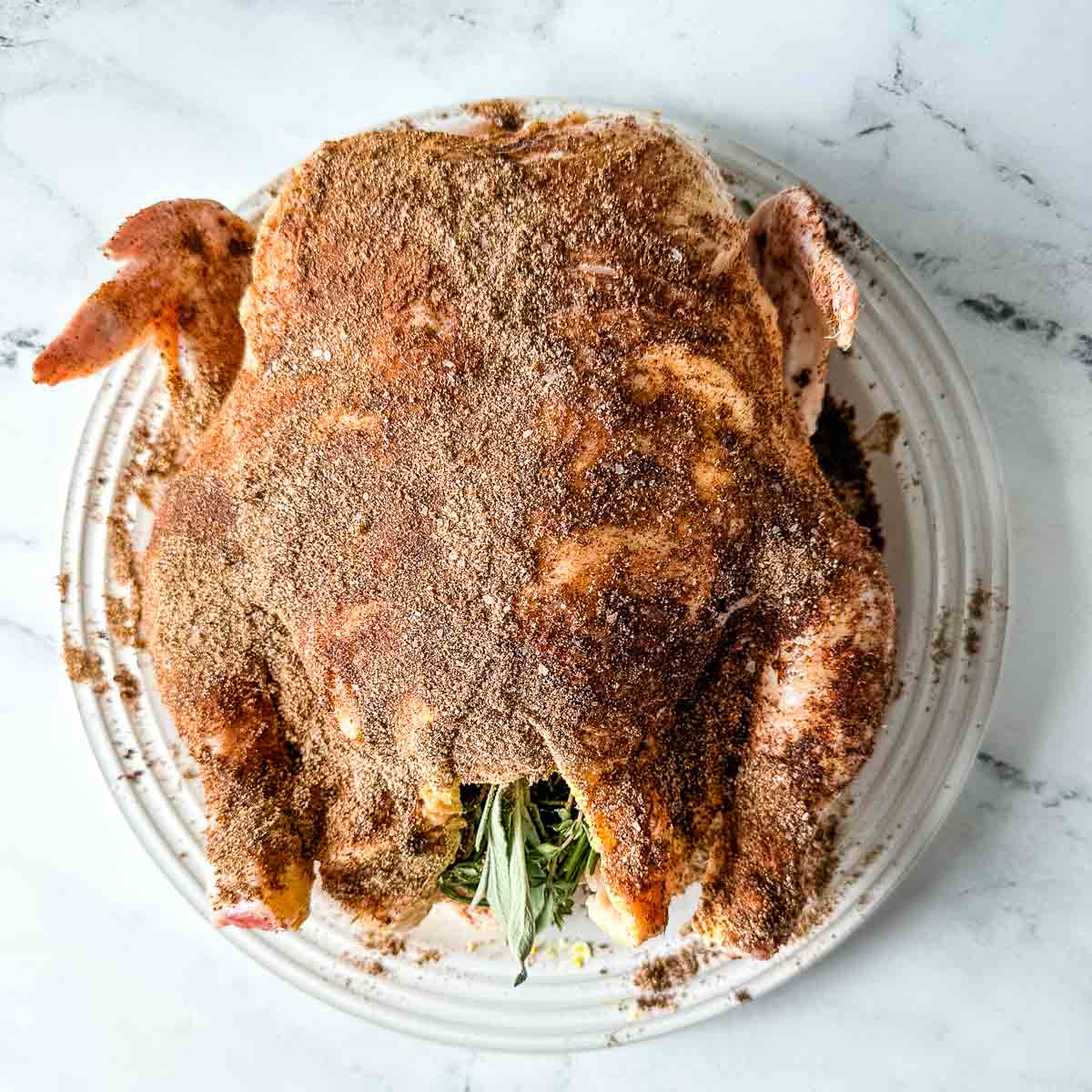 A whole chicken is dusted with spices on a white plate.