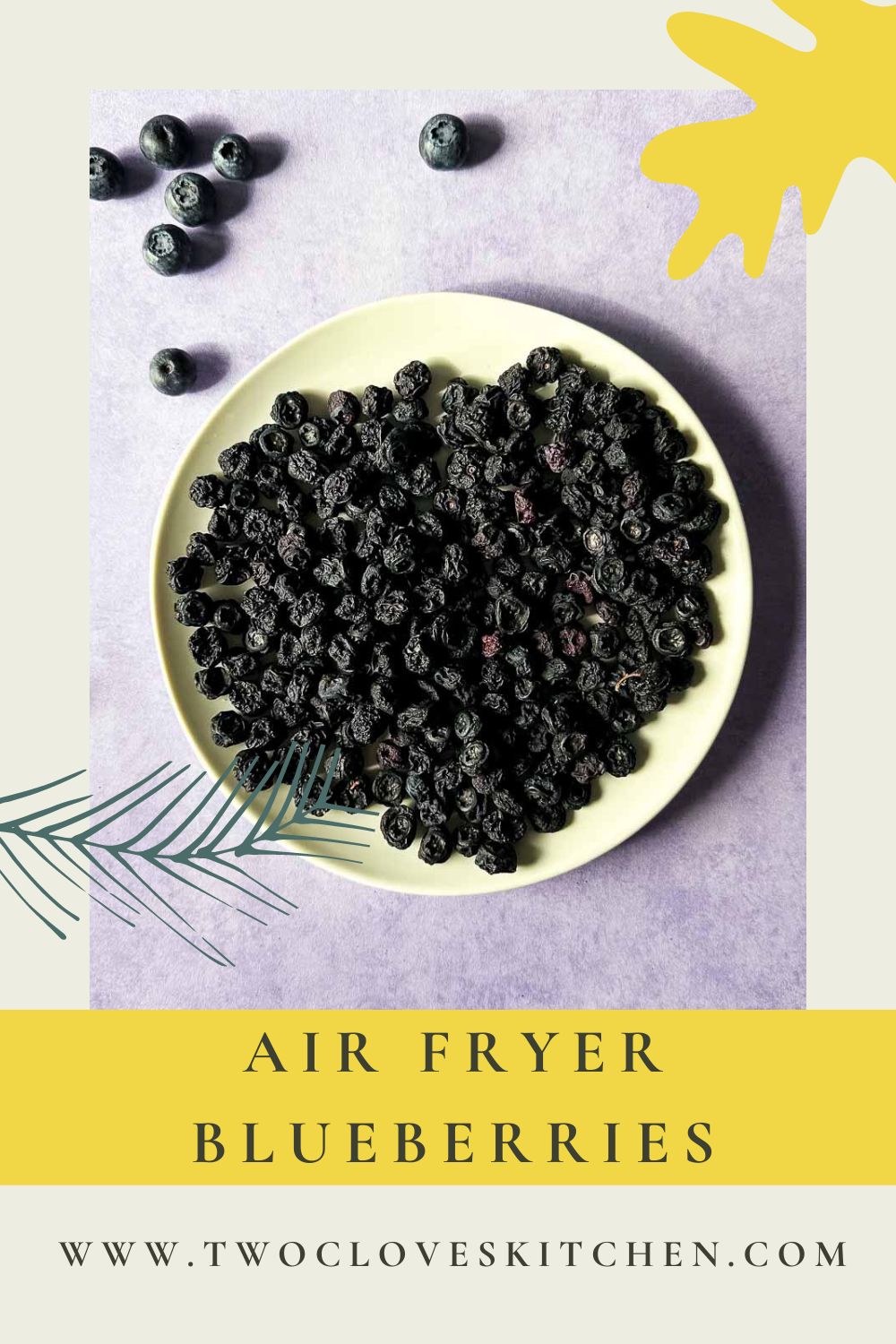 Air Fryer Dehydrated Blueberries Two Cloves Kitchen