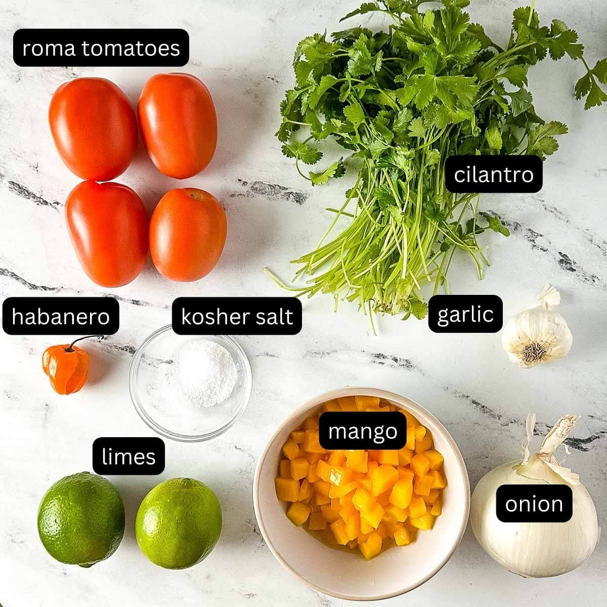 The labeled ingredients for roasted mango habanero salsa sit on a white marble counter.