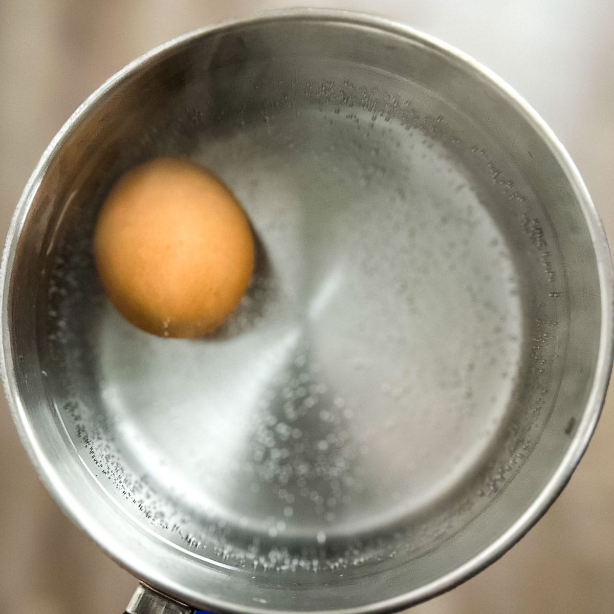 a brown egg is shown in a pot with simmering water.