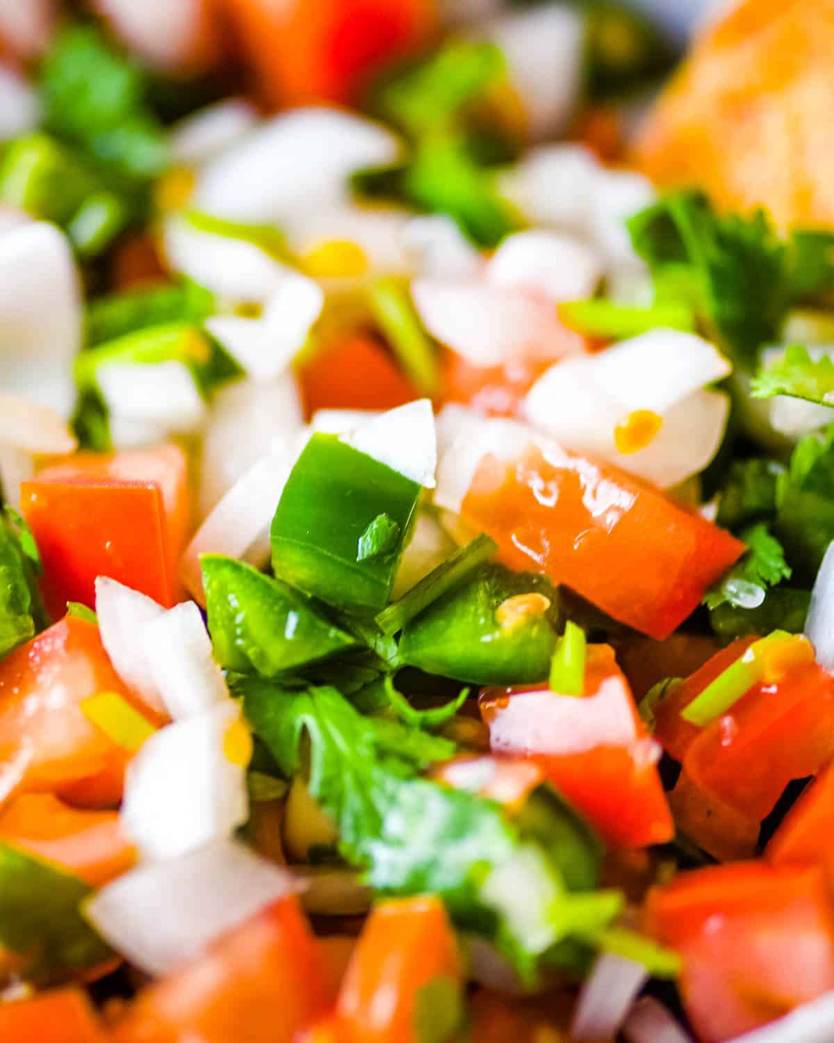 Closeup shot of garden fresh salsa.