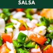 Closeup shot of garden fresh salsa with the words garden fresh salsa and the web address for two cloves kitchen dot com.