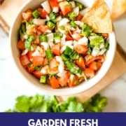 Overhead shot of garden fresh salsa with the words garden fresh salsa and the web address for two cloves kitchen dot com.