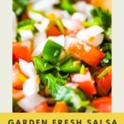 Closeup shot of garden fresh salsa with the words garden fresh salsa and the web address for two cloves kitchen dot com.