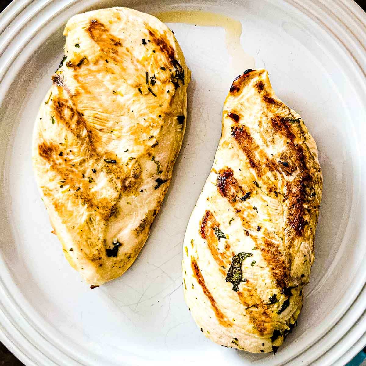Grilled chicken resting on a white plate.