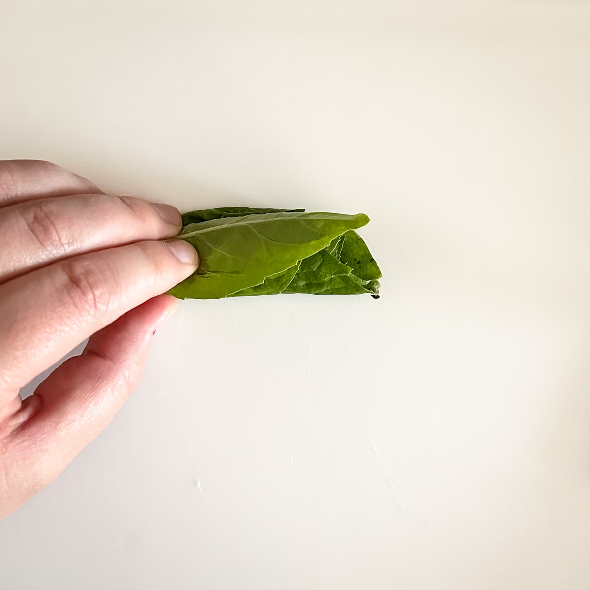 A hand holds a rolled stack of fresh basil leaves in place on a cutting board.