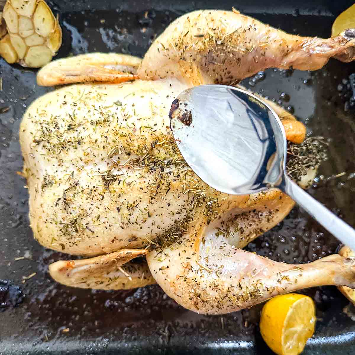 A spoon basting a roasted chicken in a pan with lemons and herbs.