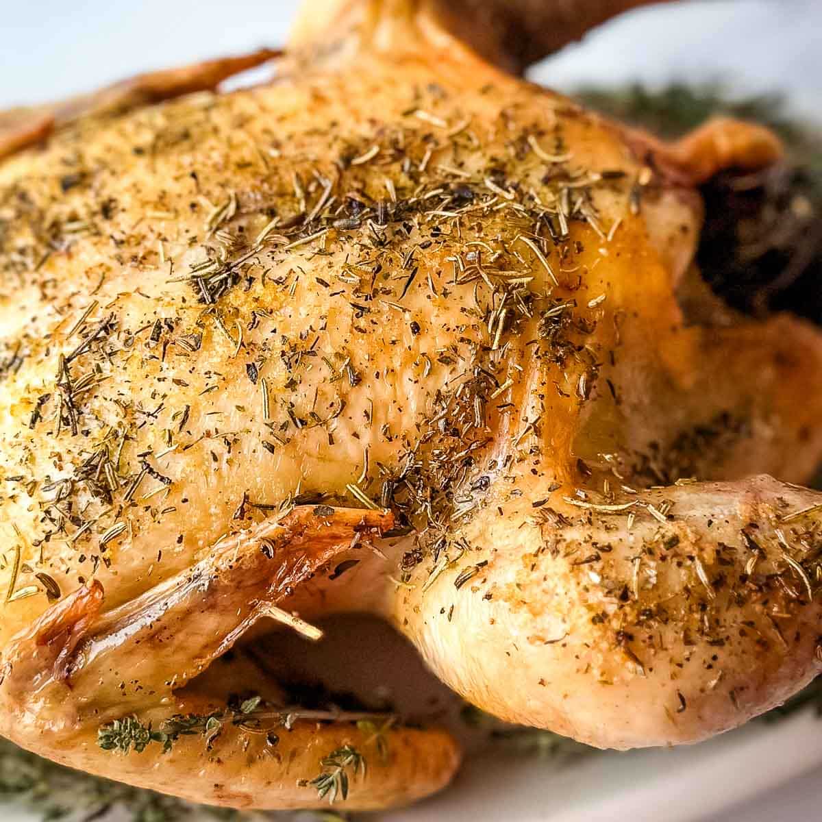 A roasted chicken with herbs on a white plate.