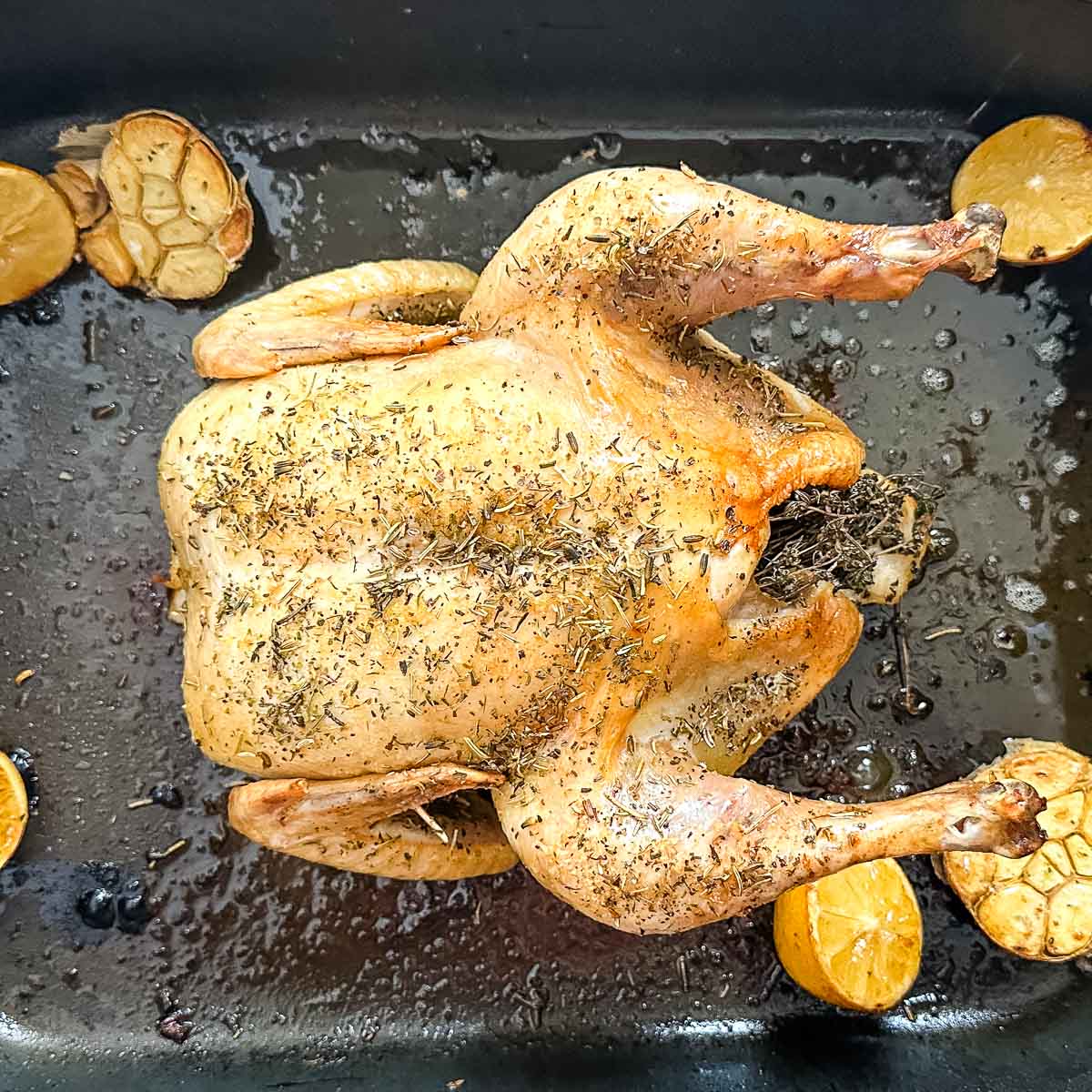 Fully roasted herbes de provence chicken in roasting pan with lemons and garlic.