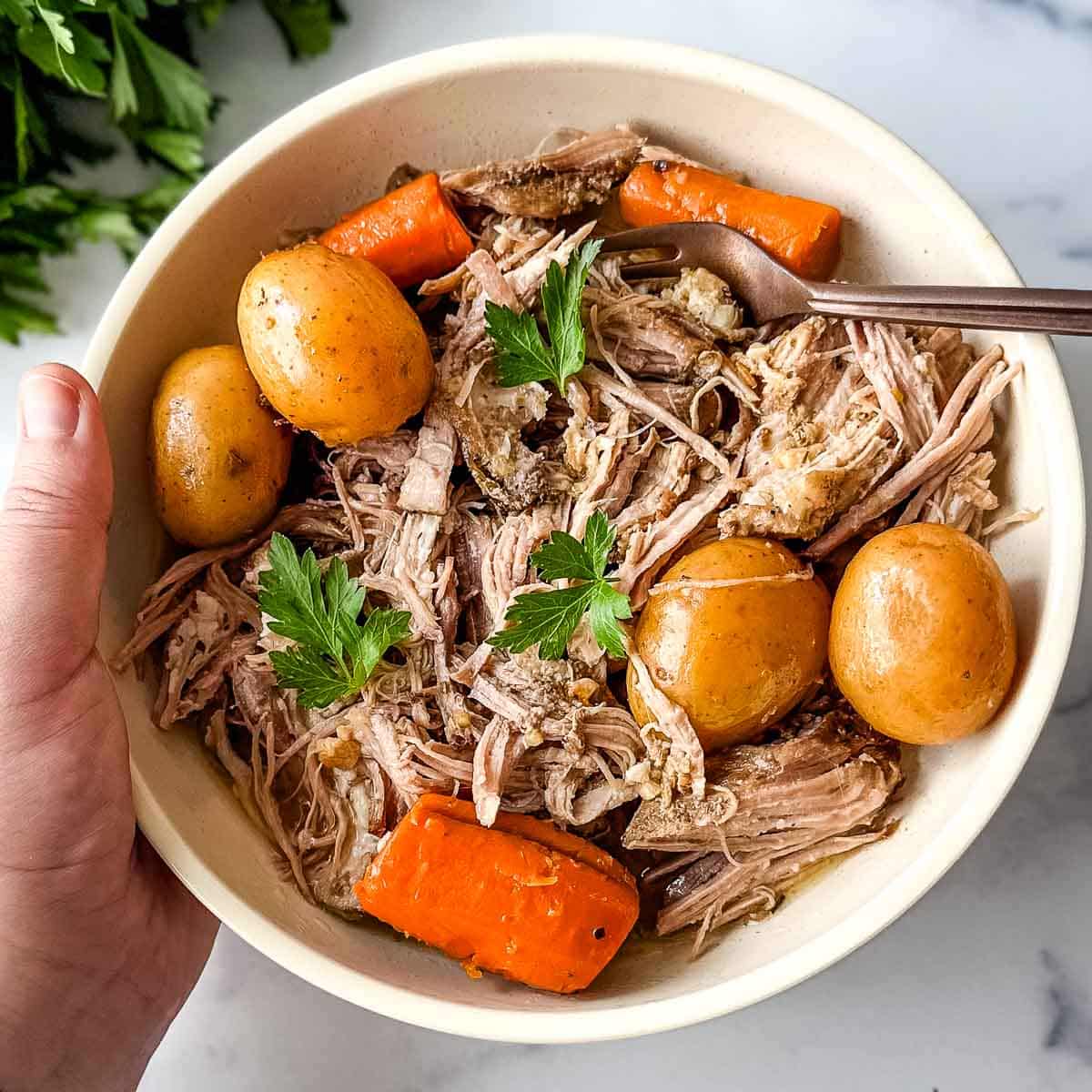 A hand holding a bowl of pulled pork with potatoes and carrots.