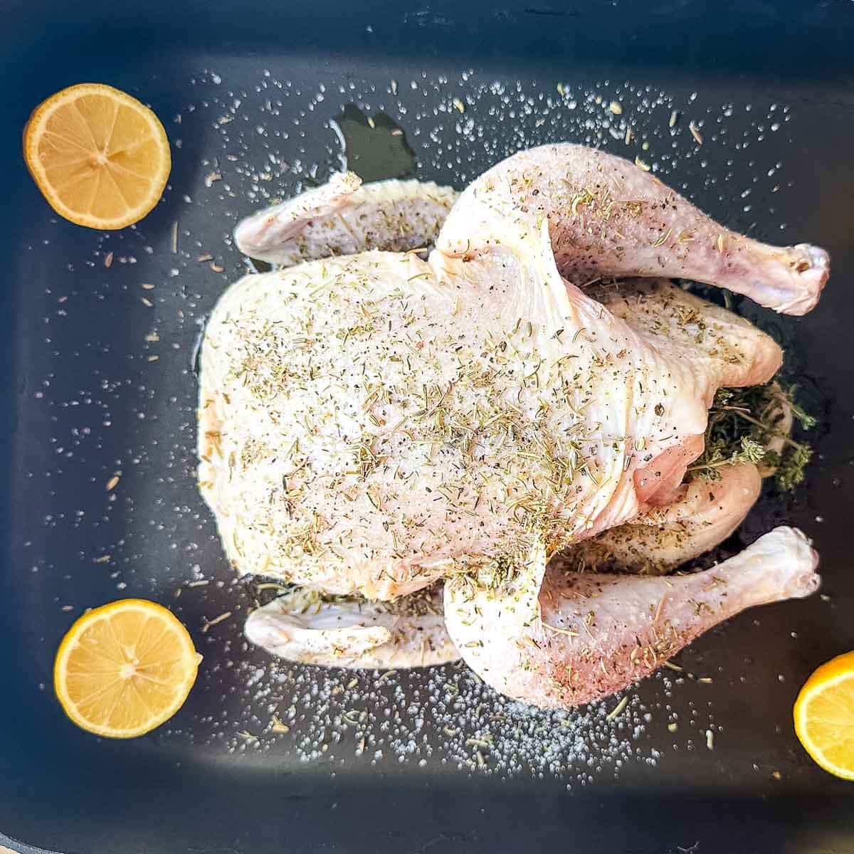 Chicken in roasting pan seasoned with salt and pepper and herbes de provence and surrounded by cut lemons.
