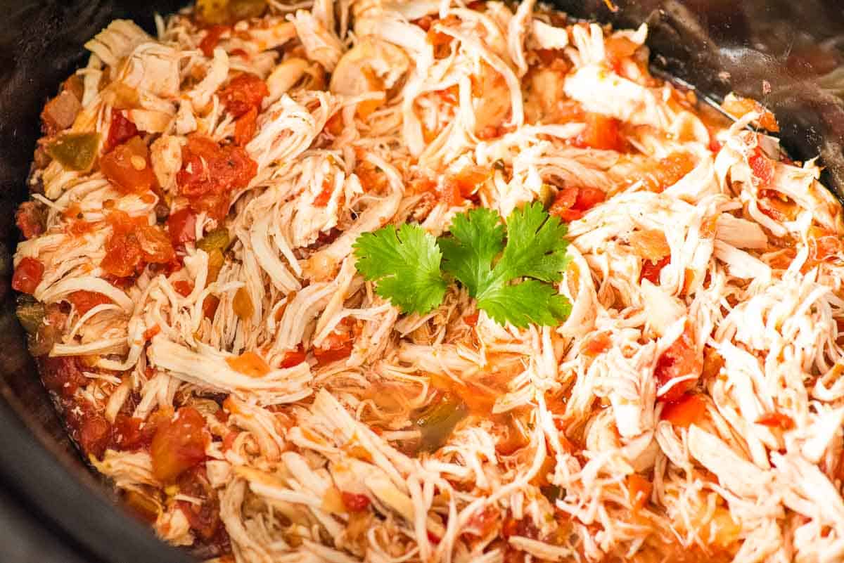 Shredded salsa chicken in a slow cooker.