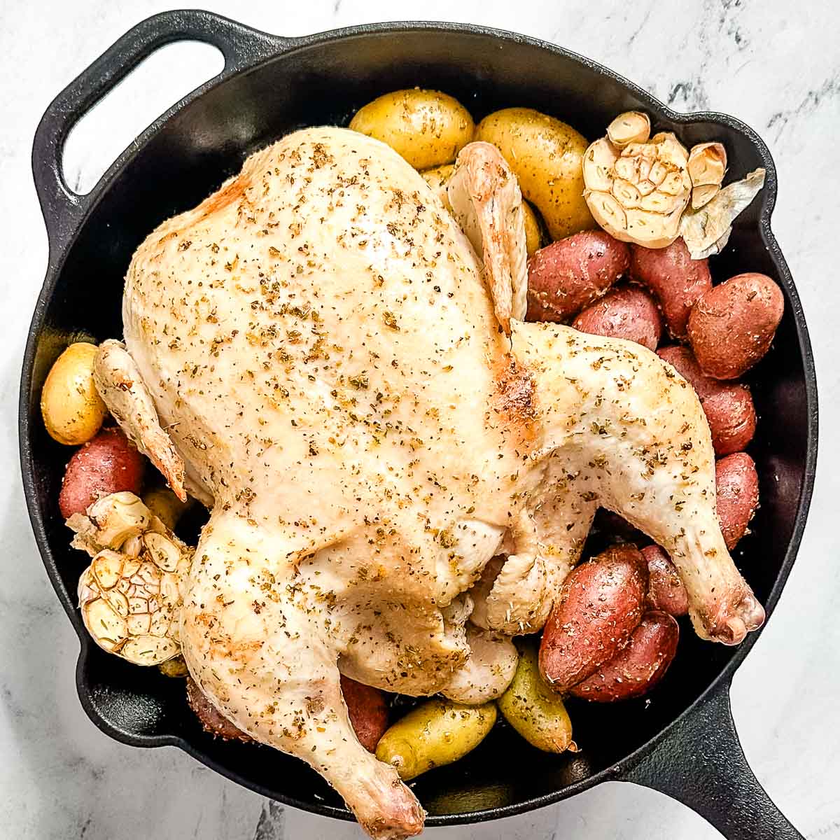 A half-cooked chicken, roasted garlic, and potatoes in a cast iron skillet.