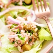 A bowl of tuna salad without mayo with lettuce and onions.