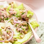 A bowl of tuna salad without mayo with lettuce and onions.