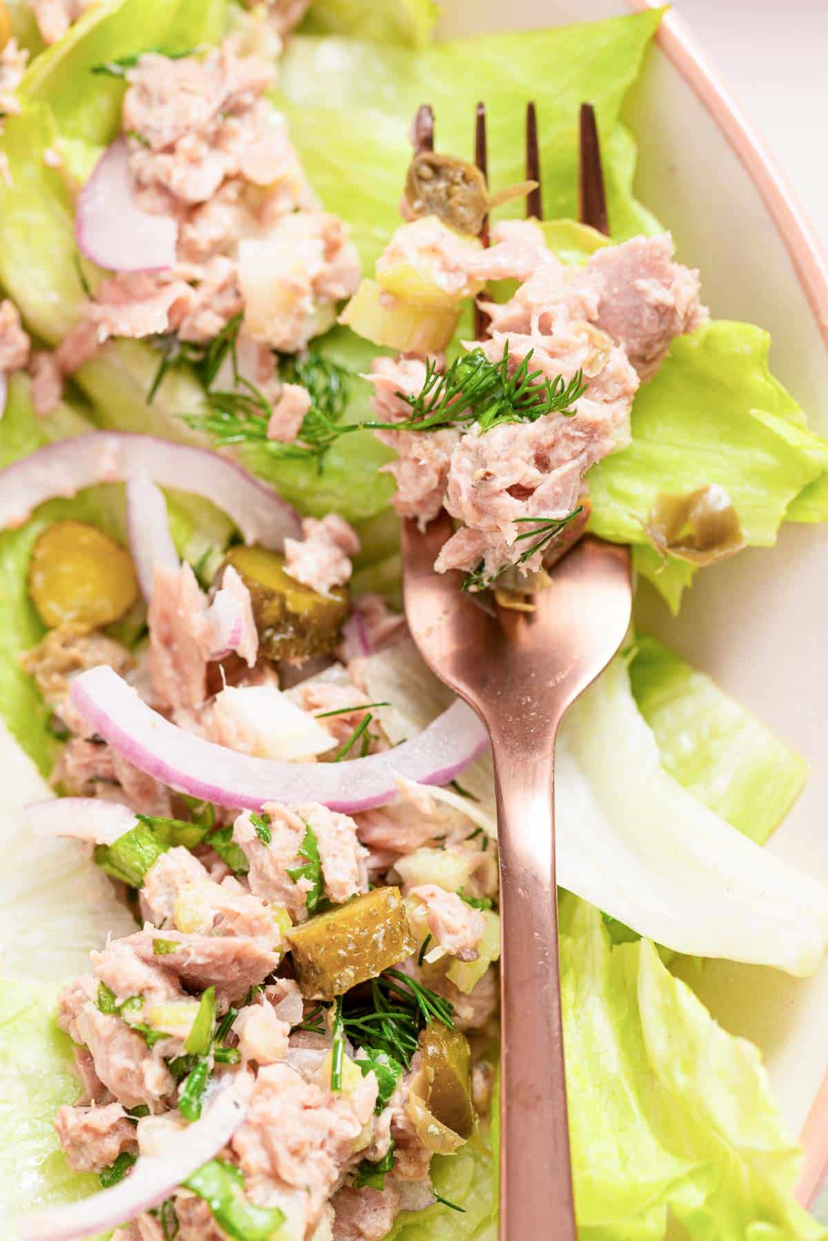 Tuna salad without mayo on a plate with a fork.