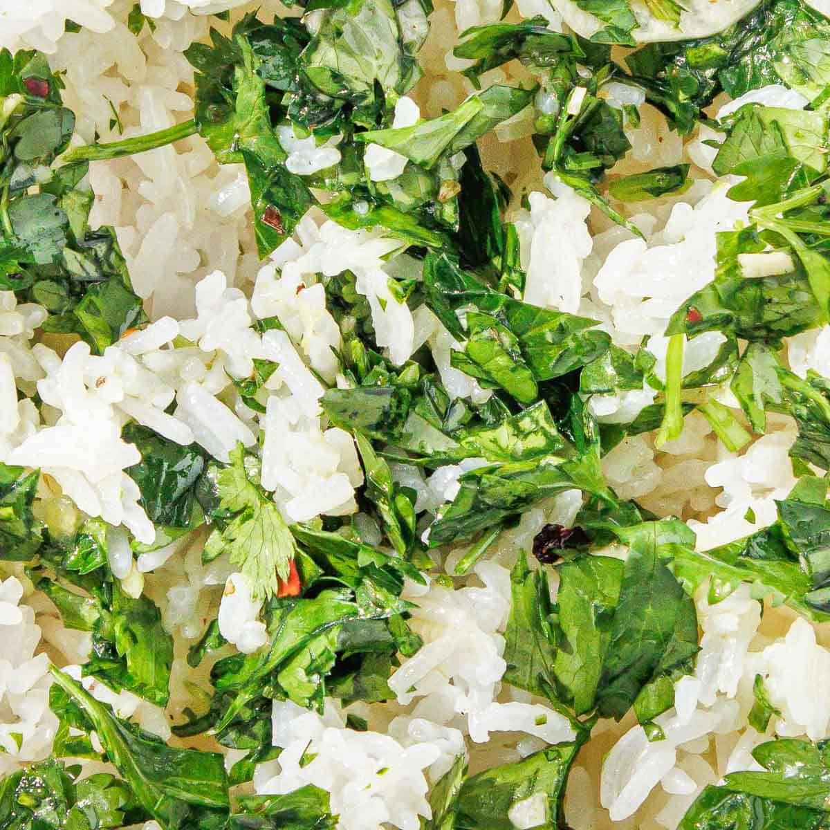 Easy Chimichurri Rice Recipe - Two Cloves Kitchen