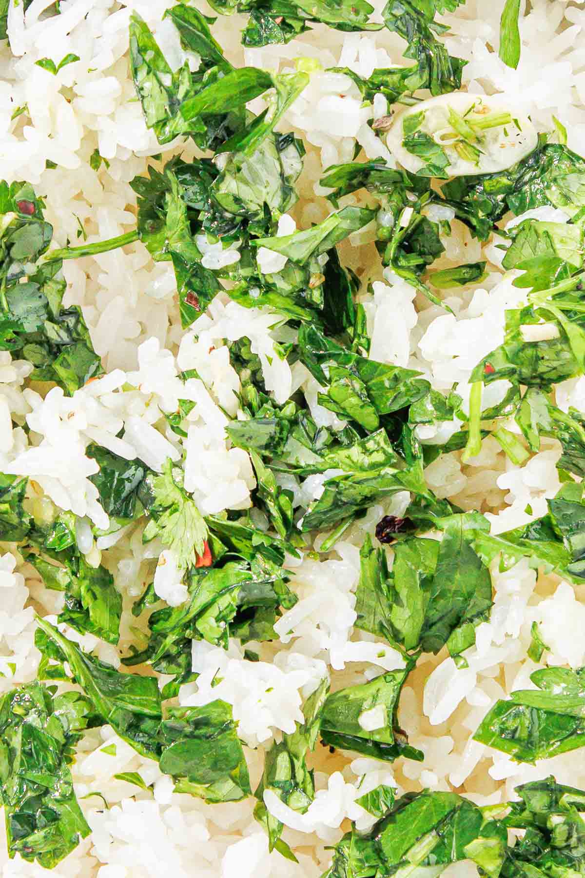 A close up of a bowl of chimichurri rice.