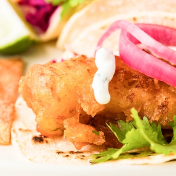 Close-up of beer-battered halibut in a taco.